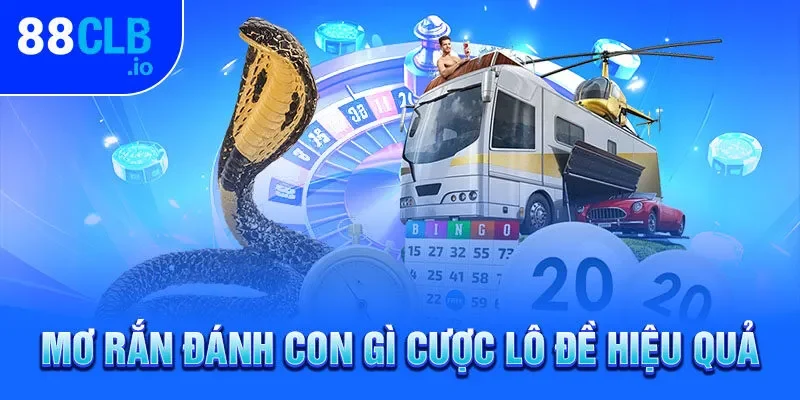 Mơ rắn đánh con gì cược lô đề hiệu quả