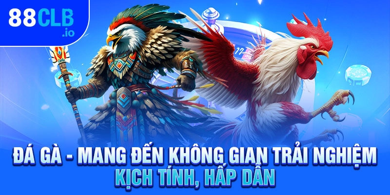 Đá gà - Mang đến không gian trải nghiệm kịch tính, hấp dẫn